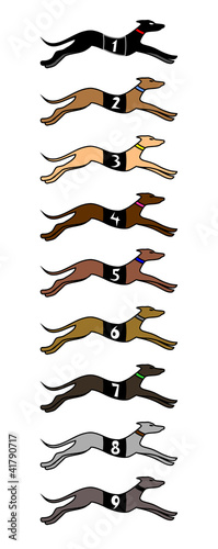 Dogs collection
