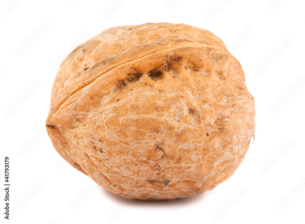 Single walnut Single walnut