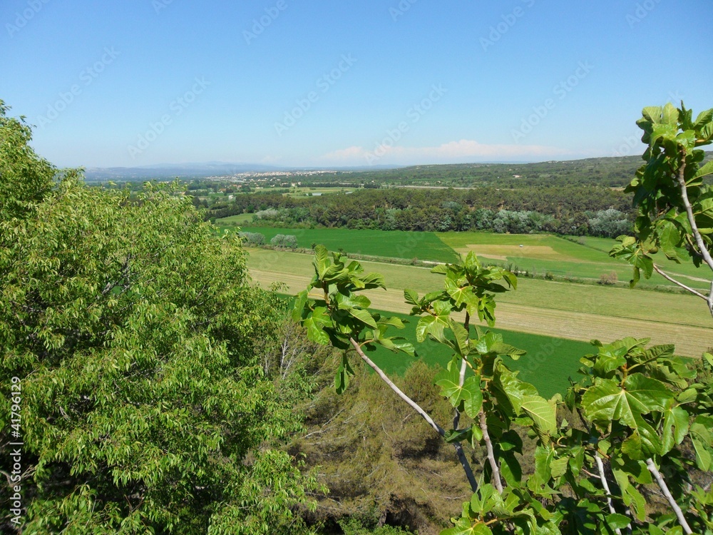 Obraz premium Paysage ciel bleu forêt toitures maisons terre vert champs