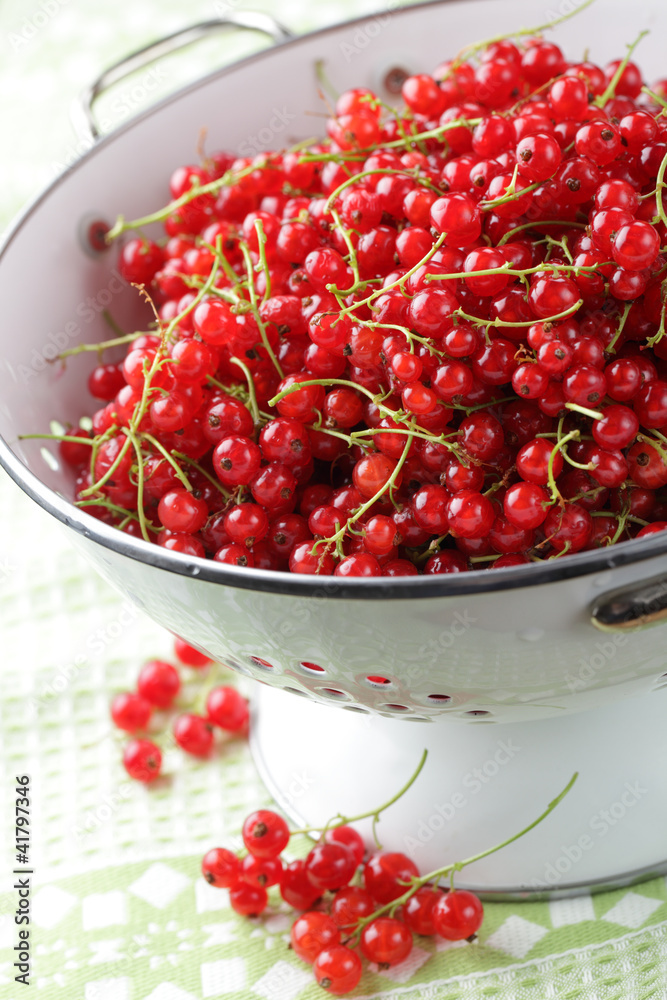 Red currant Red currant
