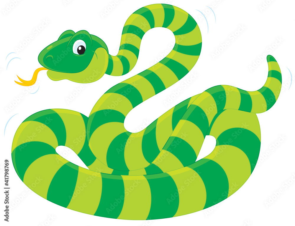 Fototapeta premium green striped snake