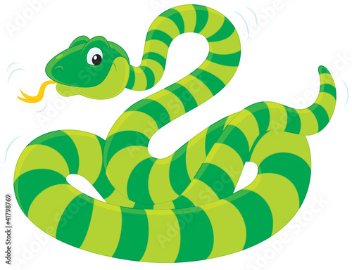green striped snake