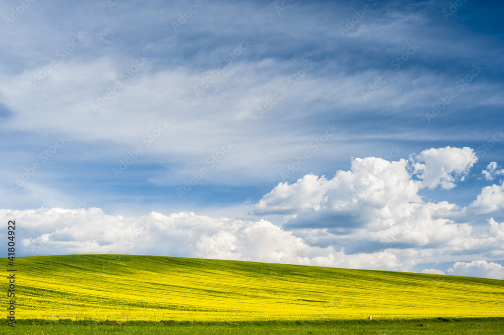 Horizon with yellow field Horizon with yellow field