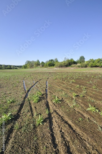 Tracks at the bottom of drained lake