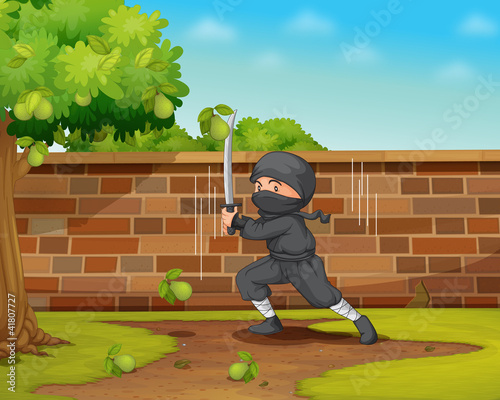 Ninja