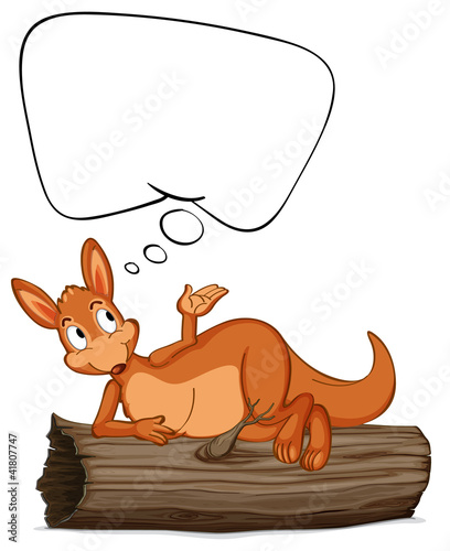 Kangaroo