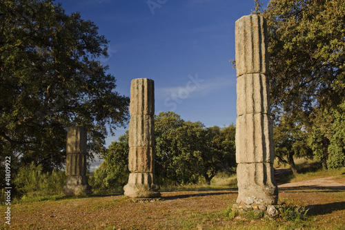 Roman columns of Augustobriga