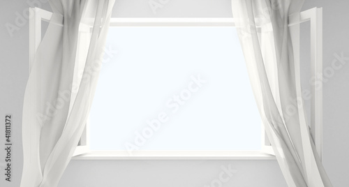 Window with curtains