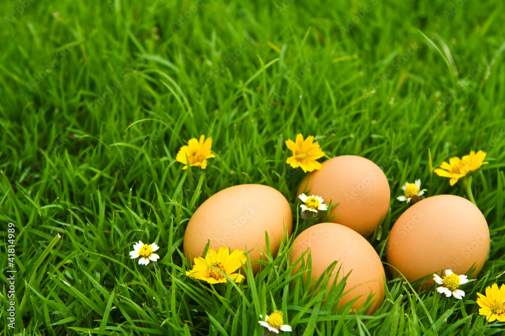 Easter Eggs with flower on Fresh Green Grass over white backgrou