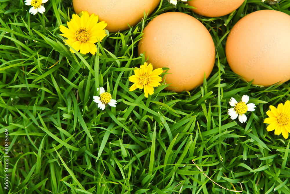 Easter Eggs with flower on Fresh Green Grass over white backgrou Easter Eggs with flower on Fresh Green Grass over white backgrou