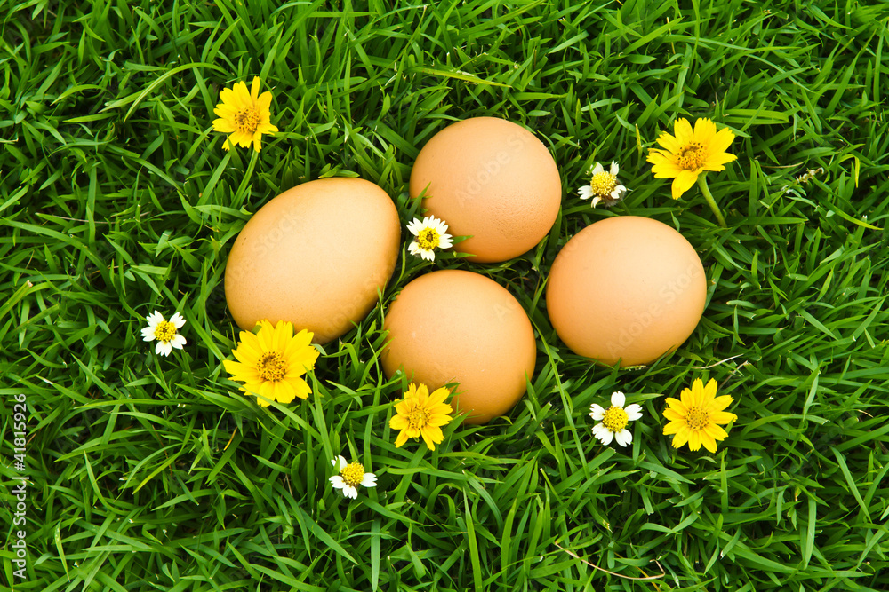 Easter Eggs with flower on Fresh Green Grass over white backgrou Easter Eggs with flower on Fresh Green Grass over white backgrou