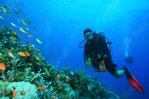 Scuba Diver explores a coral reef in the Red Sea