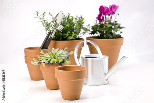 Flowers and garden tools, pots and can