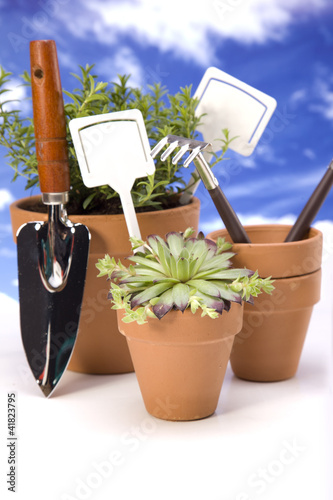 Flowers and garden tools, pots and can photo