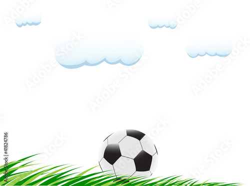 Illustration of soccer ball on the grass