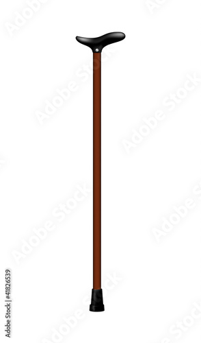 Walking stick