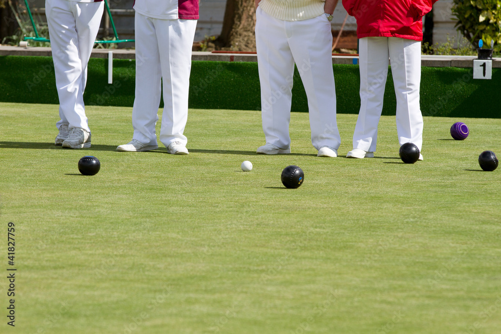 Lawn bowls