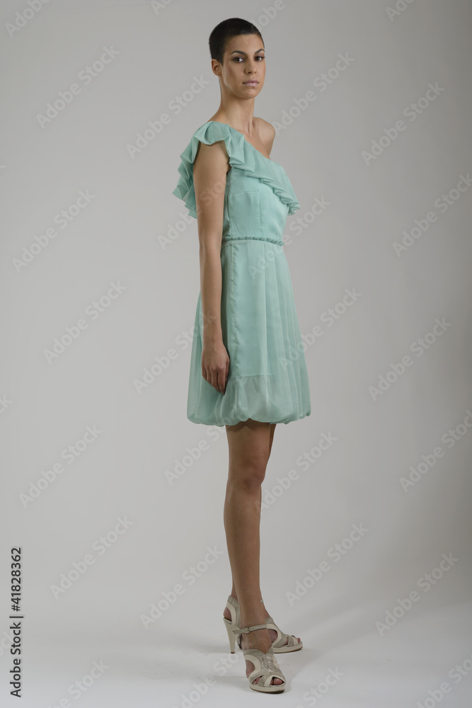 elegant woman in fashionable dress posing in the studio elegant woman in fashionable dress posing in the studio