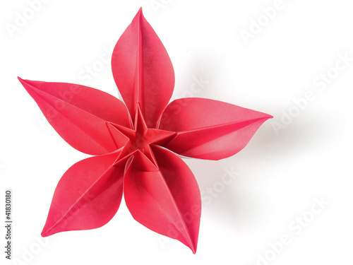 flower exotic origami