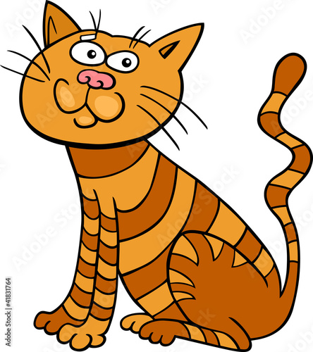 red sitting cat