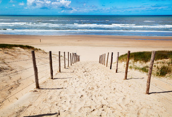 Crédence de cuisine Descente vers la plage Chemin de sable vers la mer  © Olha Rohulya