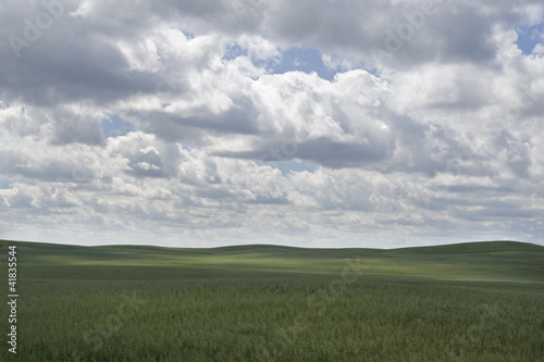 rural landscape with cloudy sky