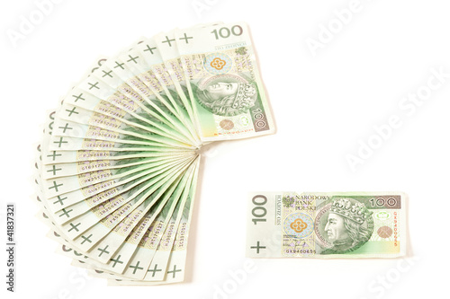 Paper money from poland to use in business