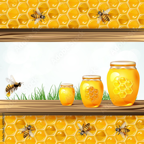 Landscape frame with glass jar bees and honeycombs