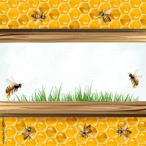 Landscape frame with bees and honeycombs