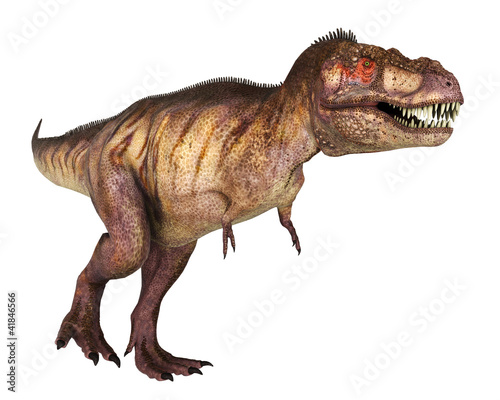tyranosaur red face walking © DM7