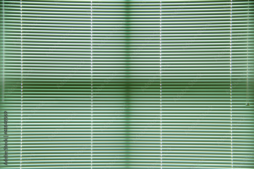 Green window blinds Green window blinds