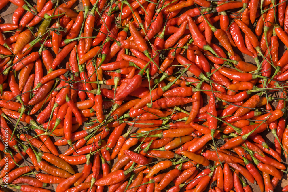 Background of closeup red hot peppers