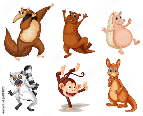 Mixed animals