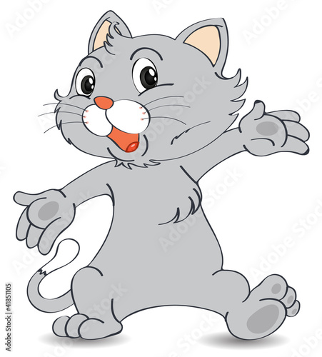 Cat in grey