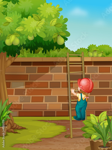 Picking fruit