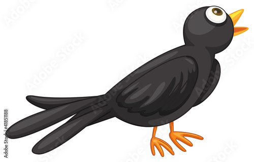 Black bird