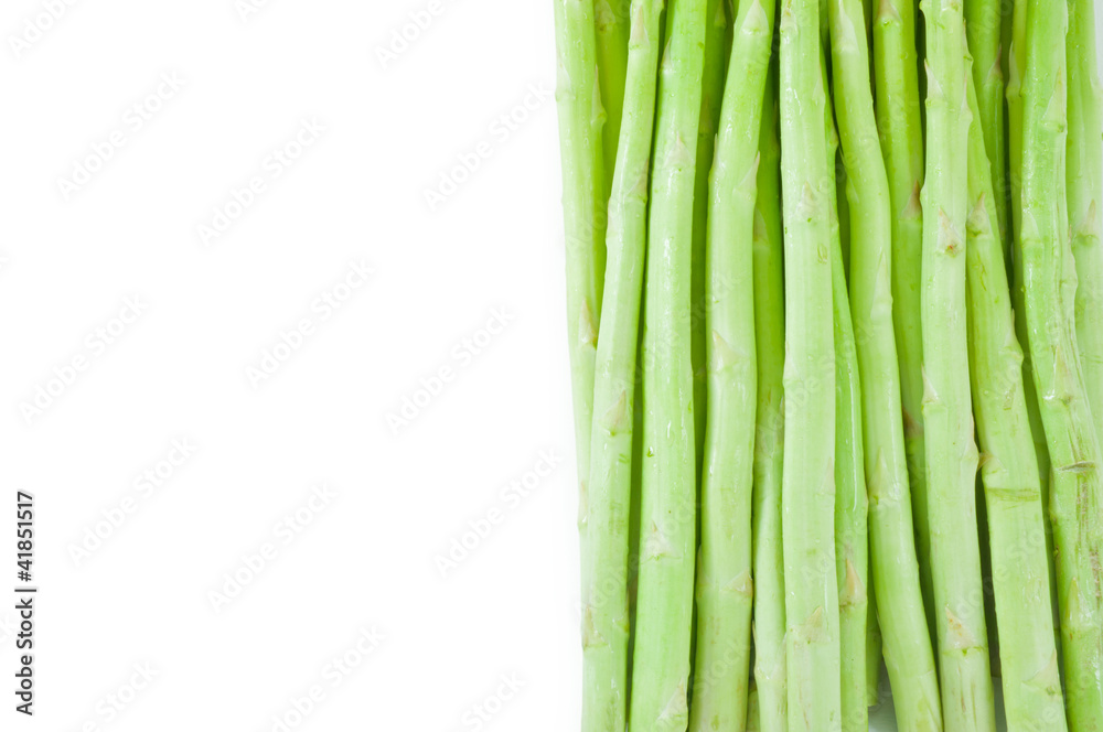 Asparagus sprouts isolated on white background Asparagus sprouts isolated on white background