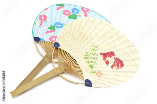 うちわ　金魚　朝顔