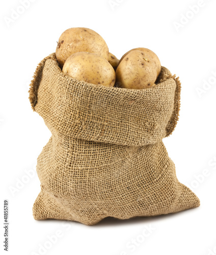 Raw potatoes in burlap sack