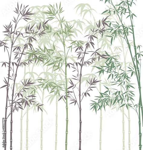 vector background with bamboo forest