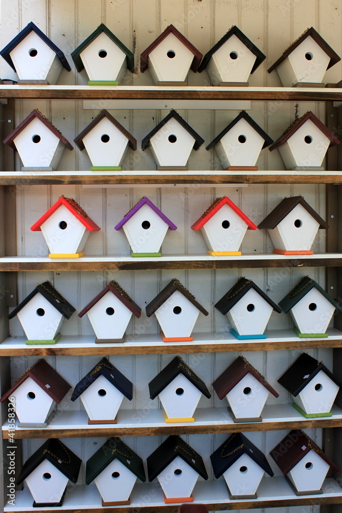 Fototapeta premium Bird houses