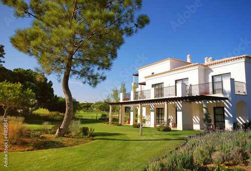 Summer resort villa, lawn and pine(Portugal) photo
