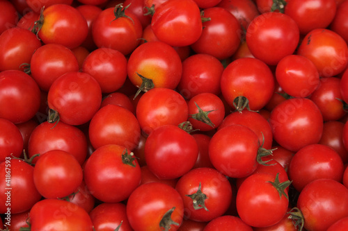 tomato © Kybele