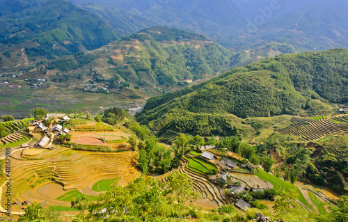 Mountain view of rice terraced fields in Sapa highland  Vietnam