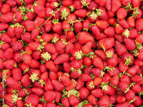 Frische rote Erdbeeren auf einem Wochenmark und Basar im Stadtteil Erenköy in Sahrayicedit in Istanbul am Bosporus in der Türkei photo