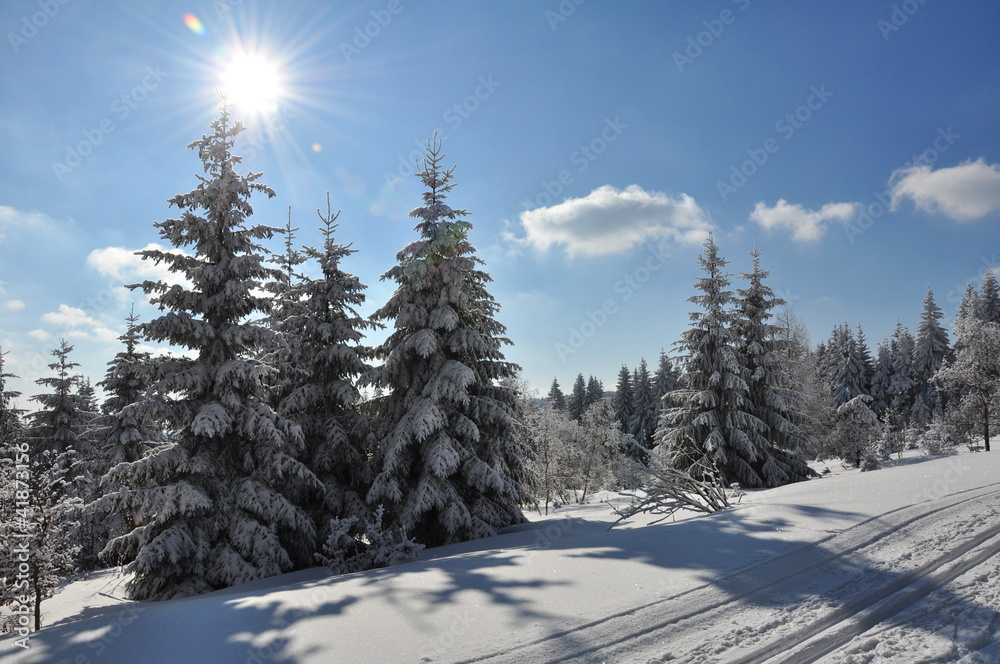 Naklejka premium Wintersonne im Thüringer Wald