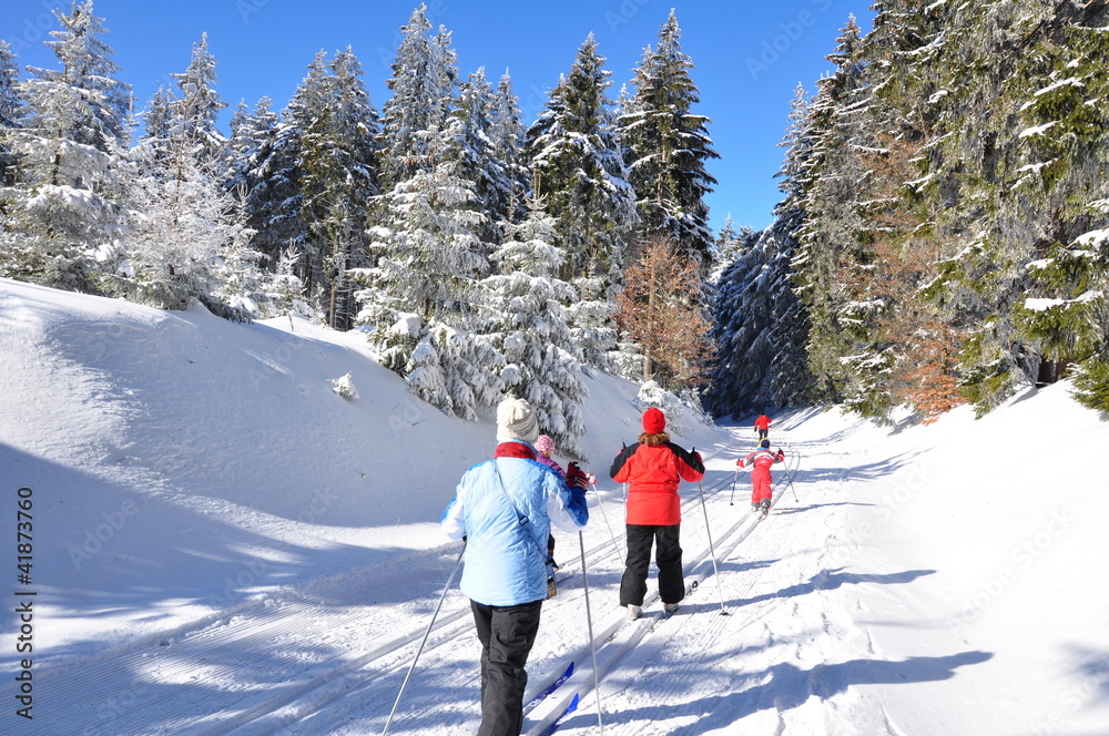 Naklejka premium Skifahrer im Thüringer Wald
