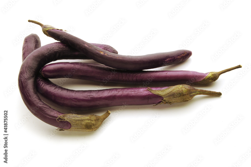 Berenjena china 中国茄子 Chinese eggplant