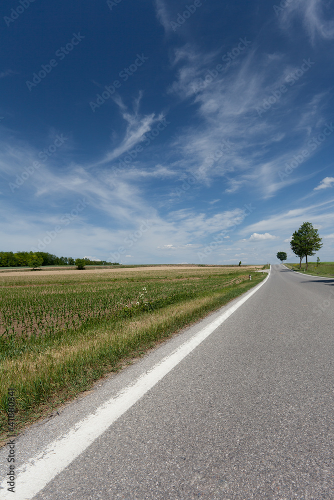 Fototapeta premium Landstraße in die Ferne