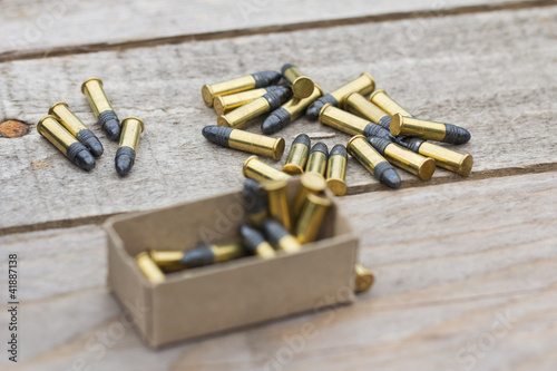 Small caliber ammunition photo